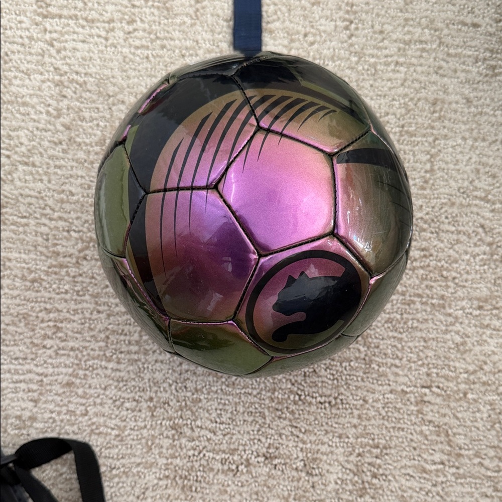 Purple and Black Soccer Ball